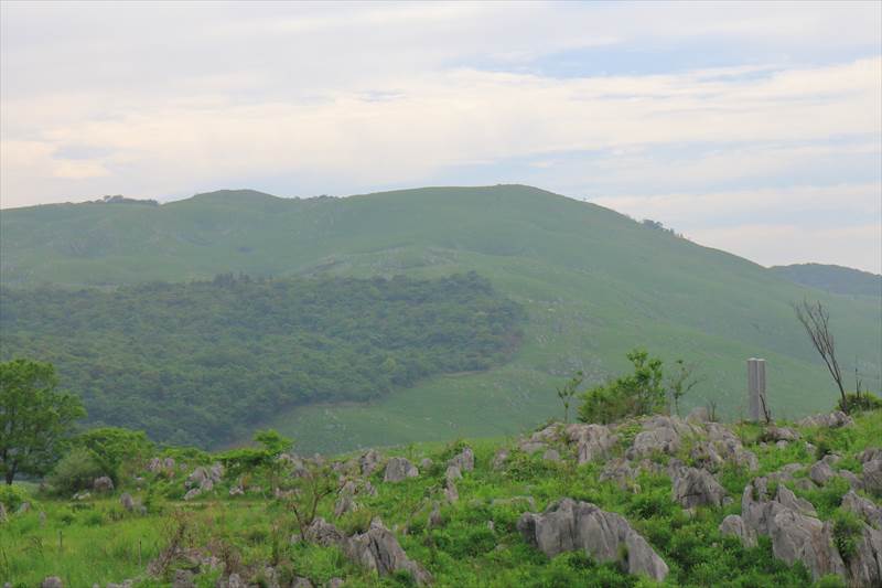 秋吉台 カルスト台地