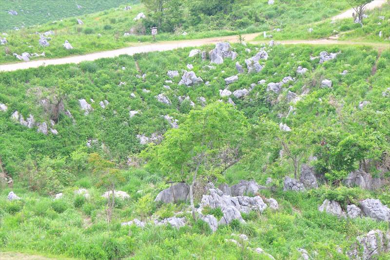 秋吉台 カルスト台地