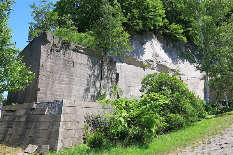 石山緑地 午後の丘