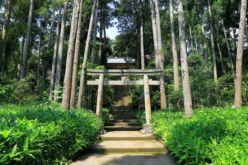 熊野神社