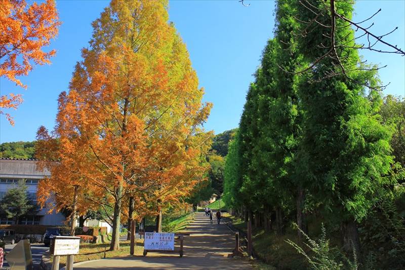 トーベ・ヤンソンあけぼの子どもの森公園