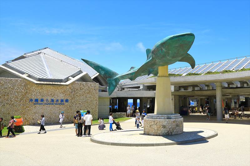 美ら海水族館